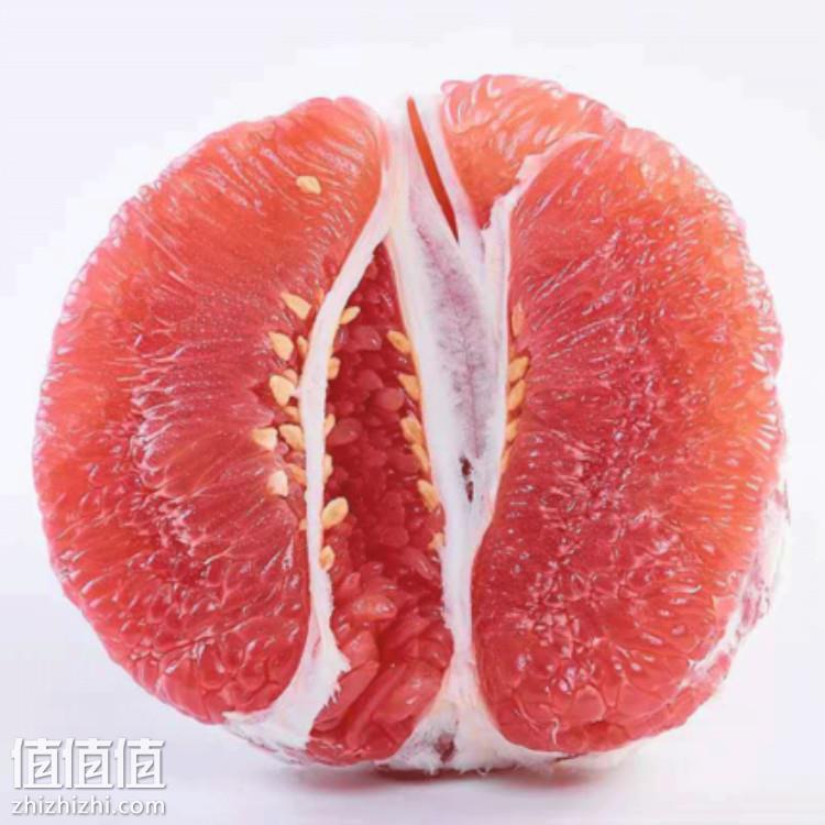 蜜柚APp下载蜜柚APP下载体验