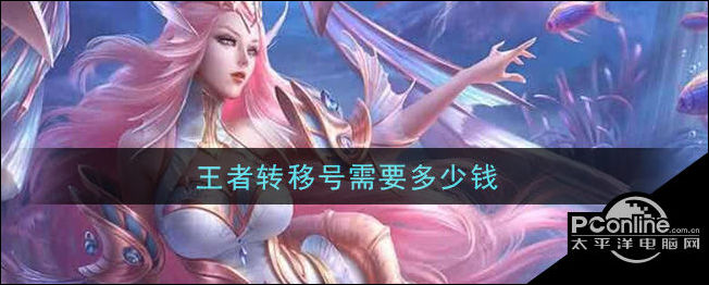 转服要多少钱转服费用是多少？-第1张图片