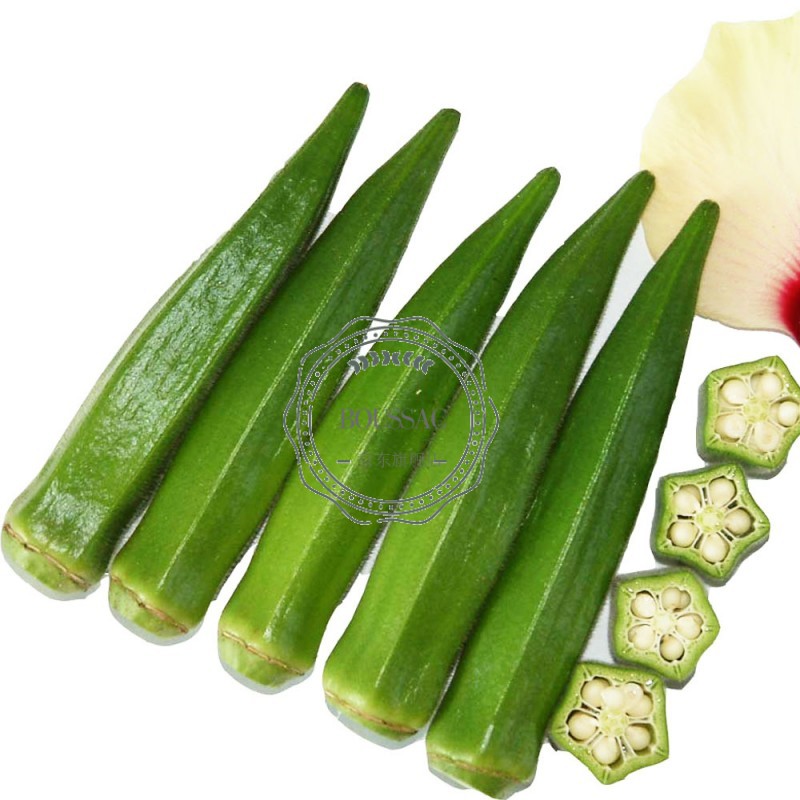 丝瓜草莓向日葵秋葵加油站丝瓜草莓向日葵秋葵加油站介绍