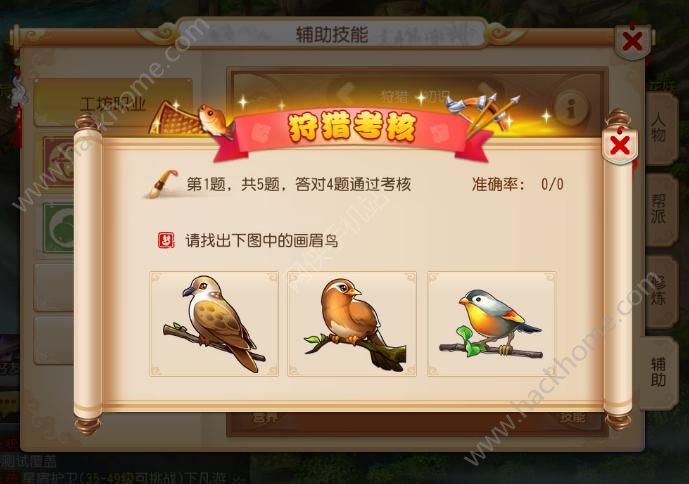 高手进阶区高手进阶区，探索技能与经验的深度融合-第2张图片