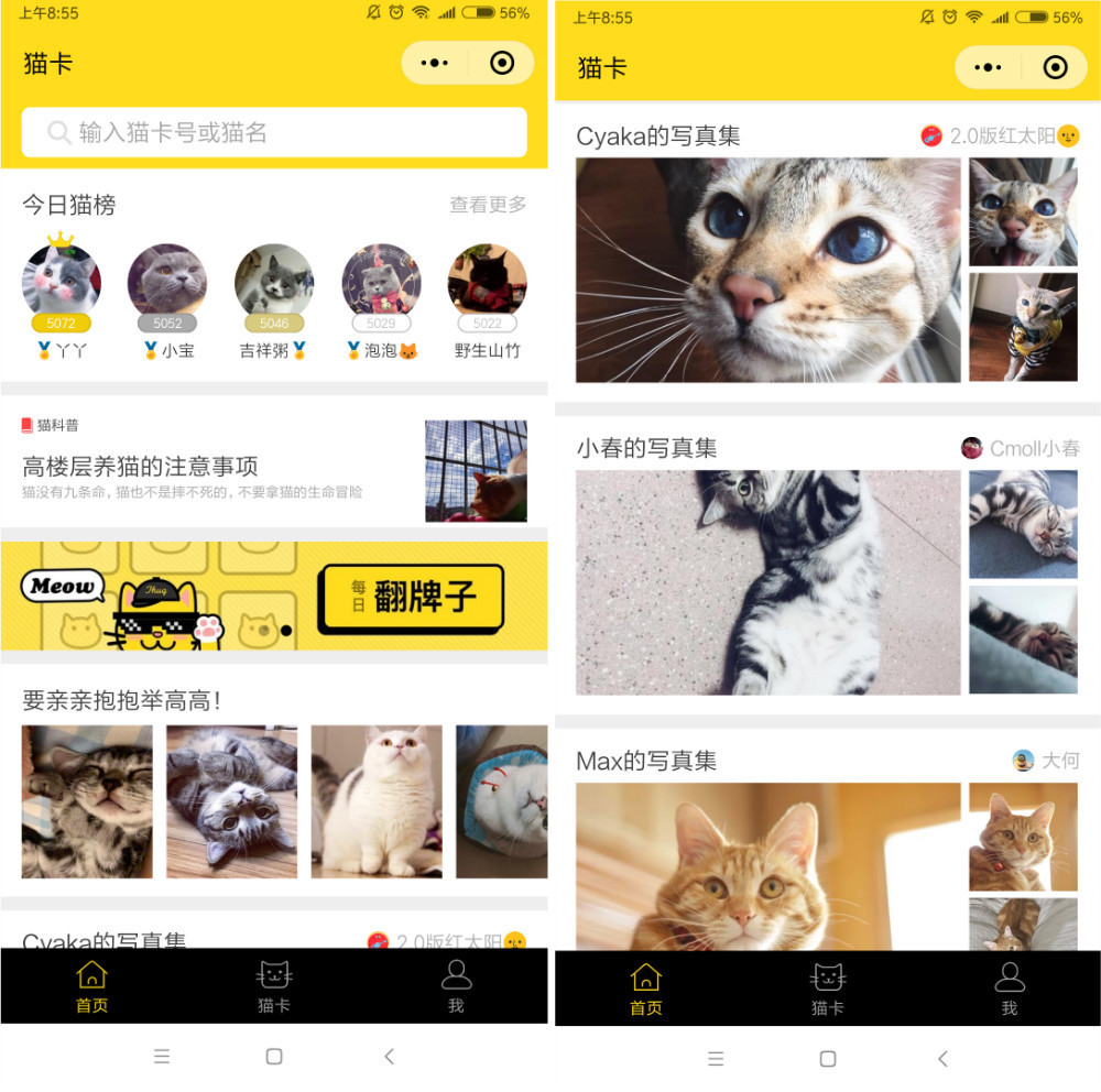 猫咪杜区app官网介绍-第1张图片
