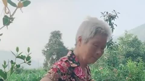不当替身后我上婆媳综艺爆火-第2张图片