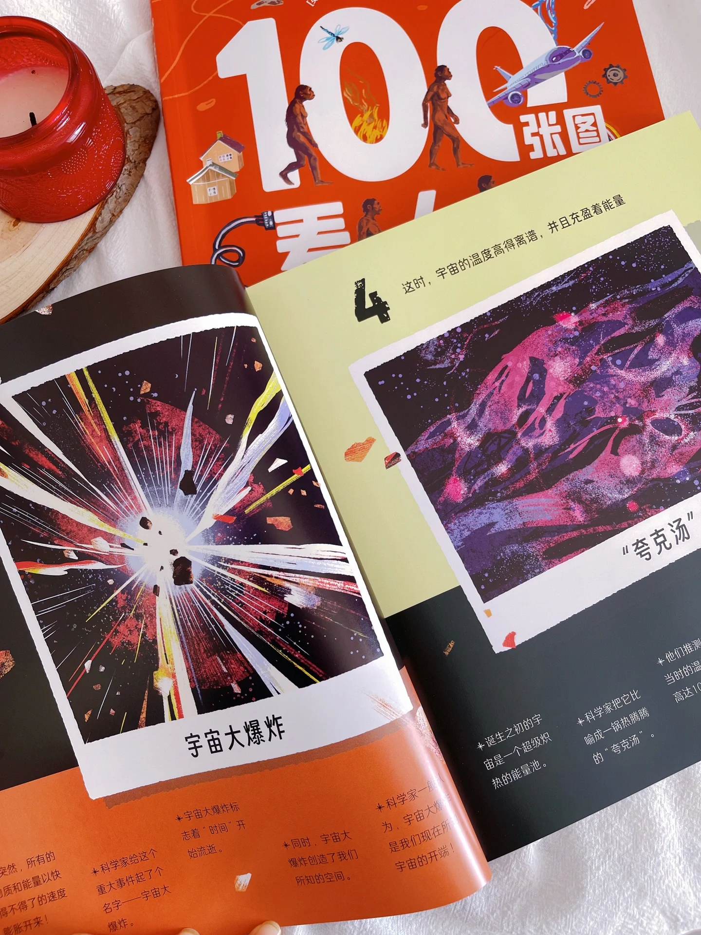 进化与演进的探索-第3张图片