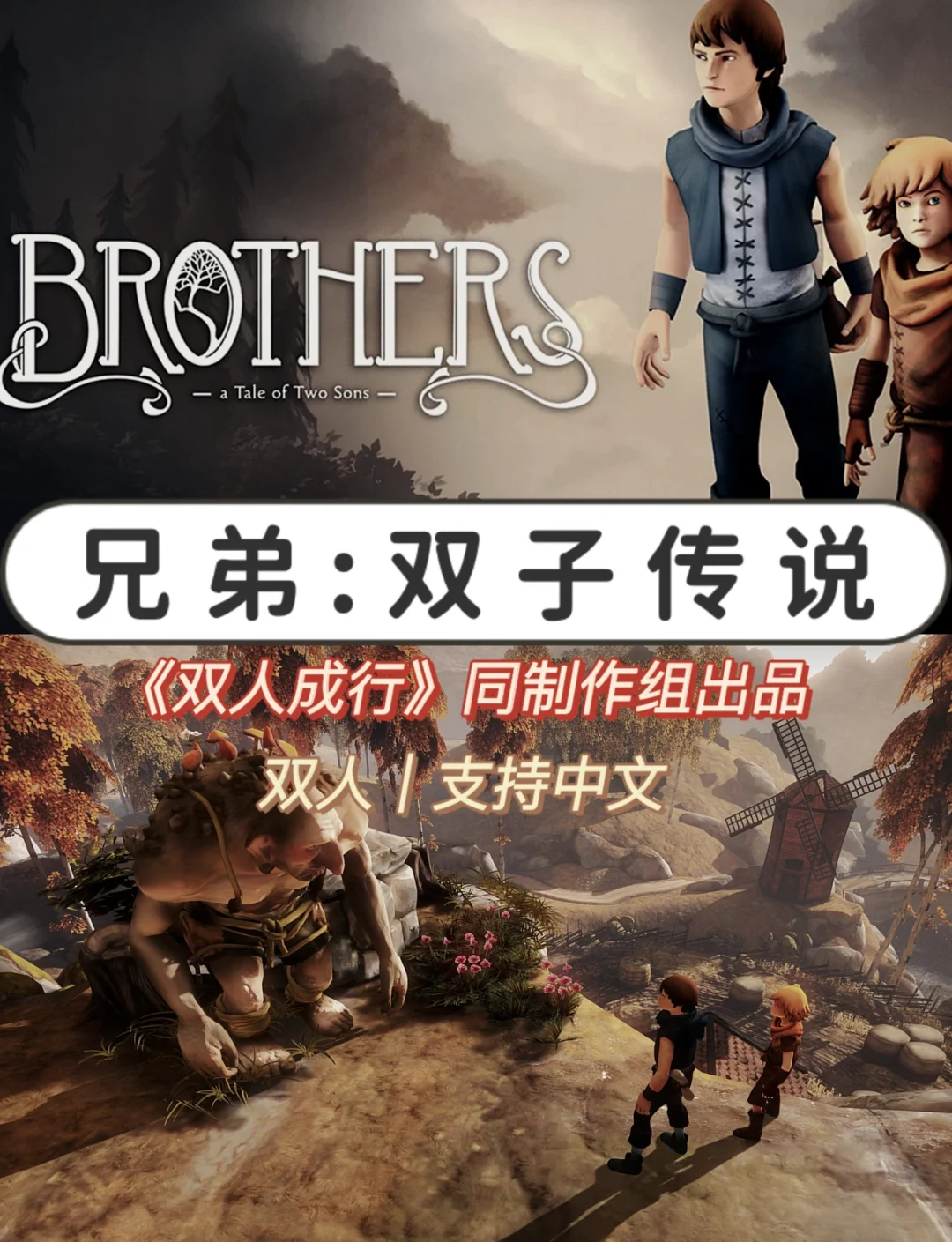 兄弟双子传说