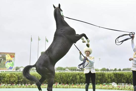 2019正版马会资料大全