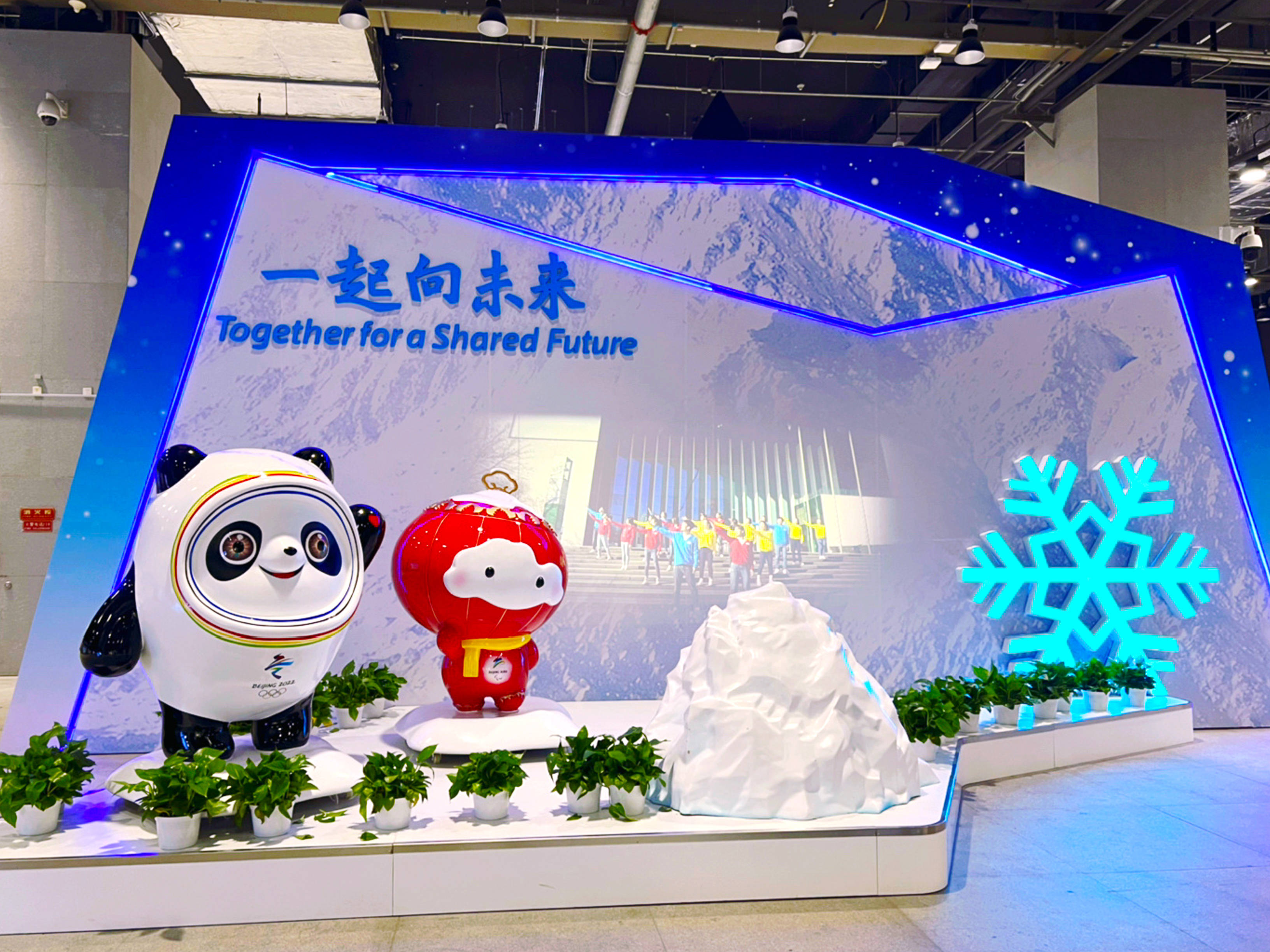 乐9乐除以乐乐9乐，科技与生活的完美融合-第1张图片