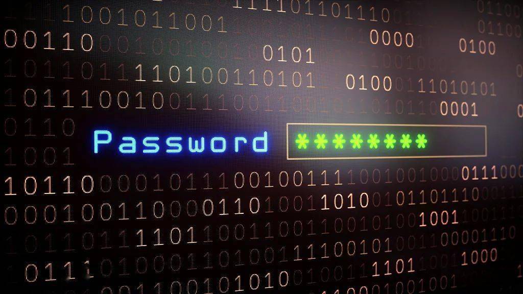 黄网216gs黄网13区，网络世界的神秘角落-第2张图片