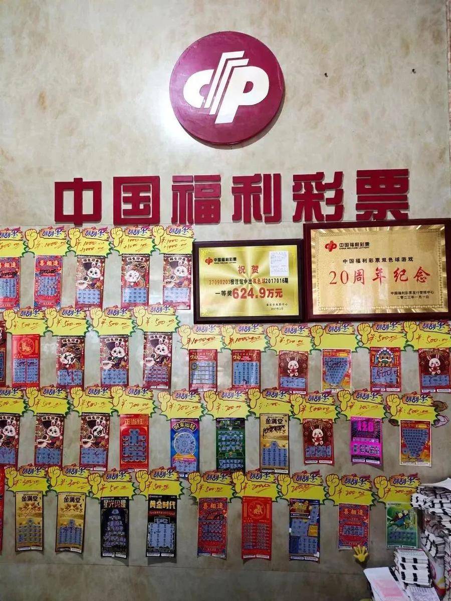 2023一码一肖，精准预测与幸运之选