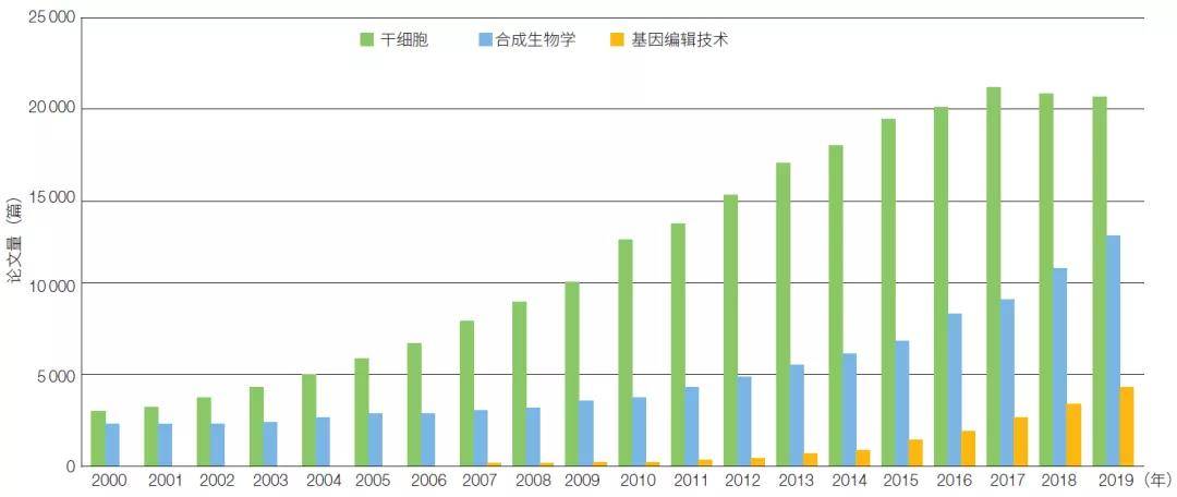 美国伦理眉睫膏，伦理问题的紧迫性与应对策略-第1张图片