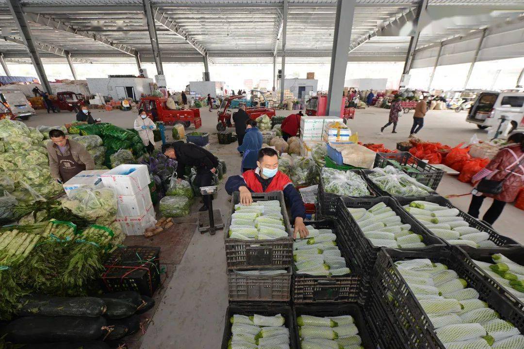 亚1州区产品国色-第3张图片