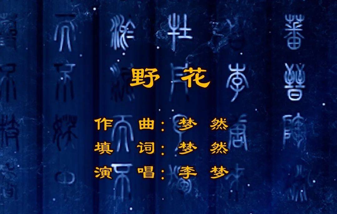 野花影视免费高清观看野花影视免费高清观看-第2张图片