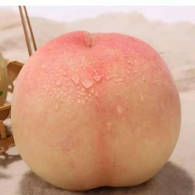 水蜜桃881118传媒公司水蜜桃881118传媒公司，引领传媒新风潮