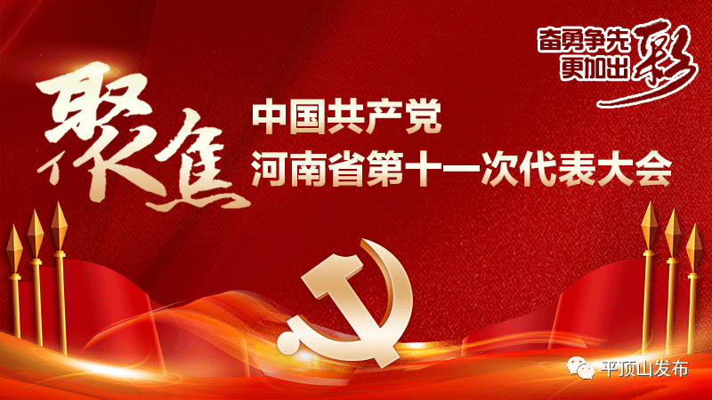 团800官方网团800郑州，城市发展新篇章-第2张图片