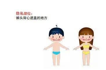 可以随意看女生部位的游戏女生隐私游戏，窥探与自由的交织-第3张图片
