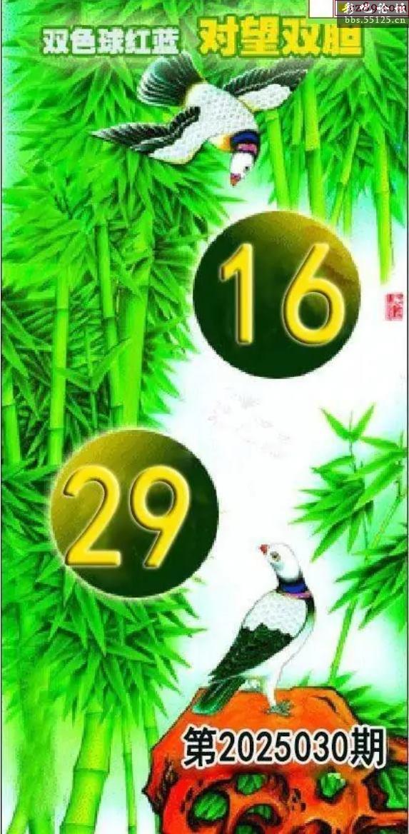 双色球圣手仙子字谜双色球圣手传奇-第2张图片
