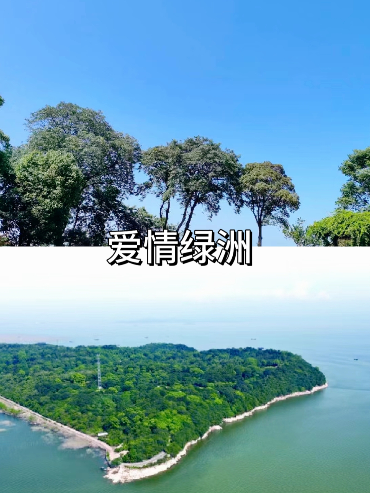 爱情岛论坛线路器线路攻略