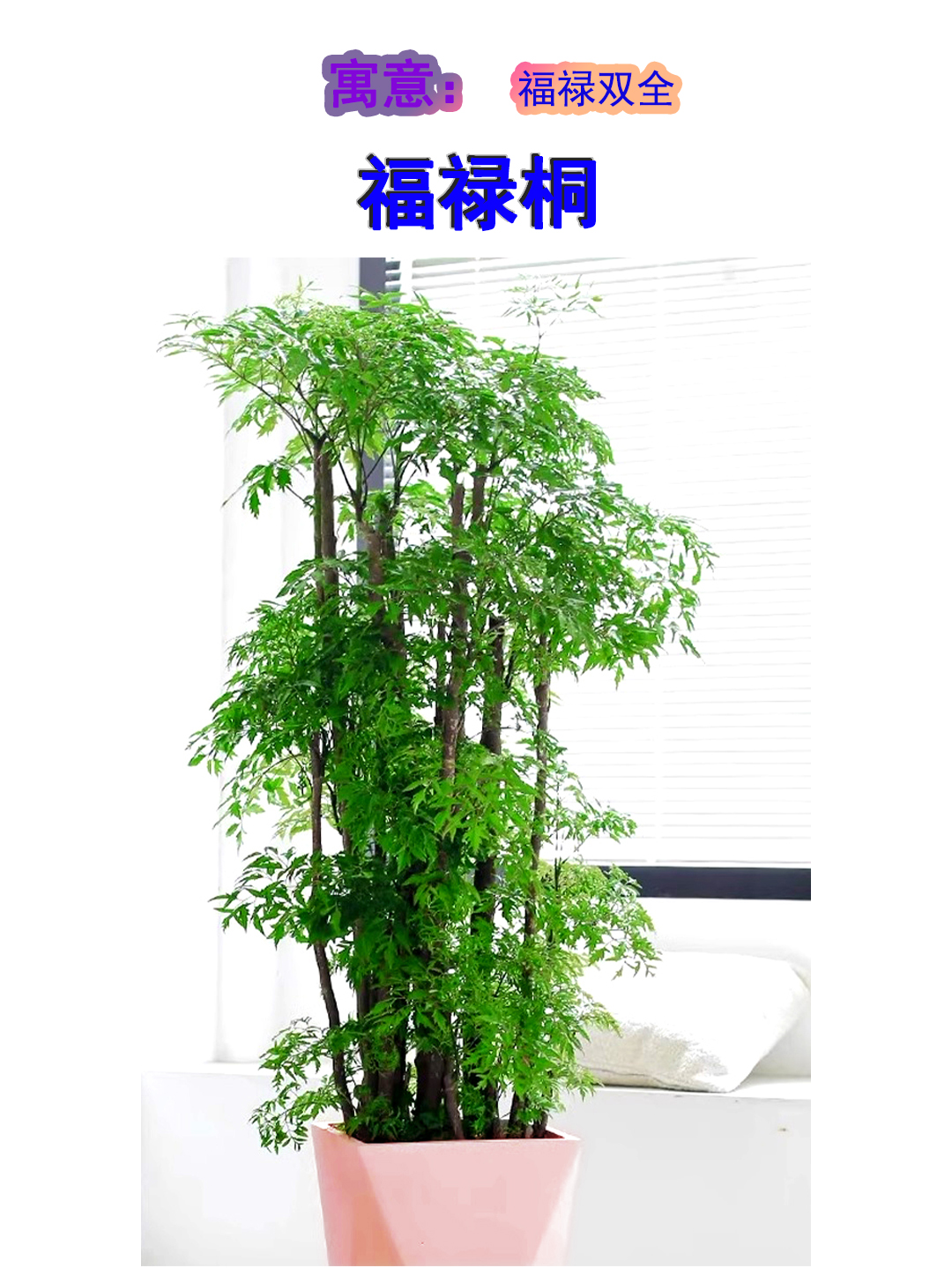 发泄办公室发泄办公室，释放压力与心灵的绿色空间-第1张图片