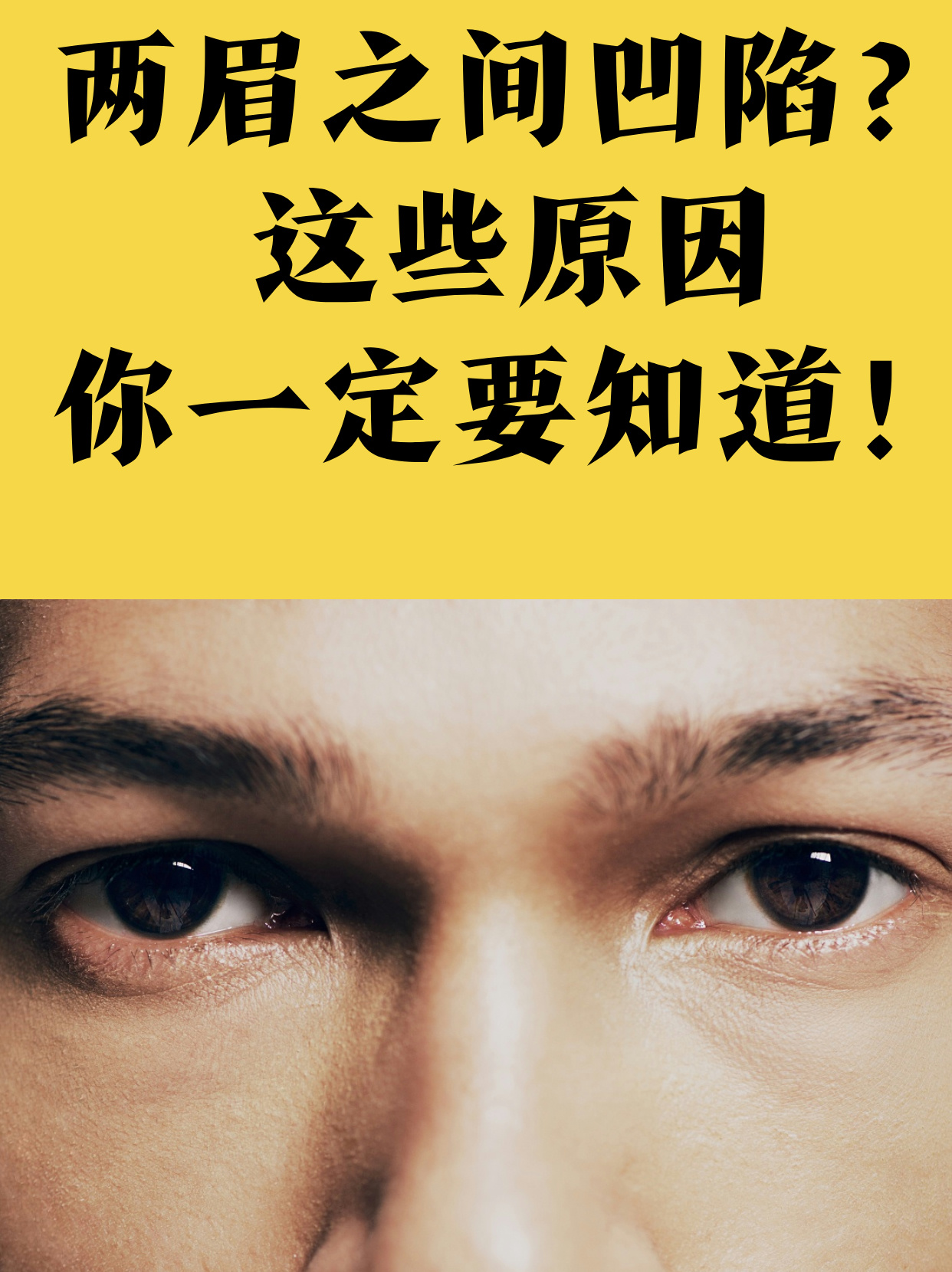 免费永久看黄神器，探索隐藏的诱惑