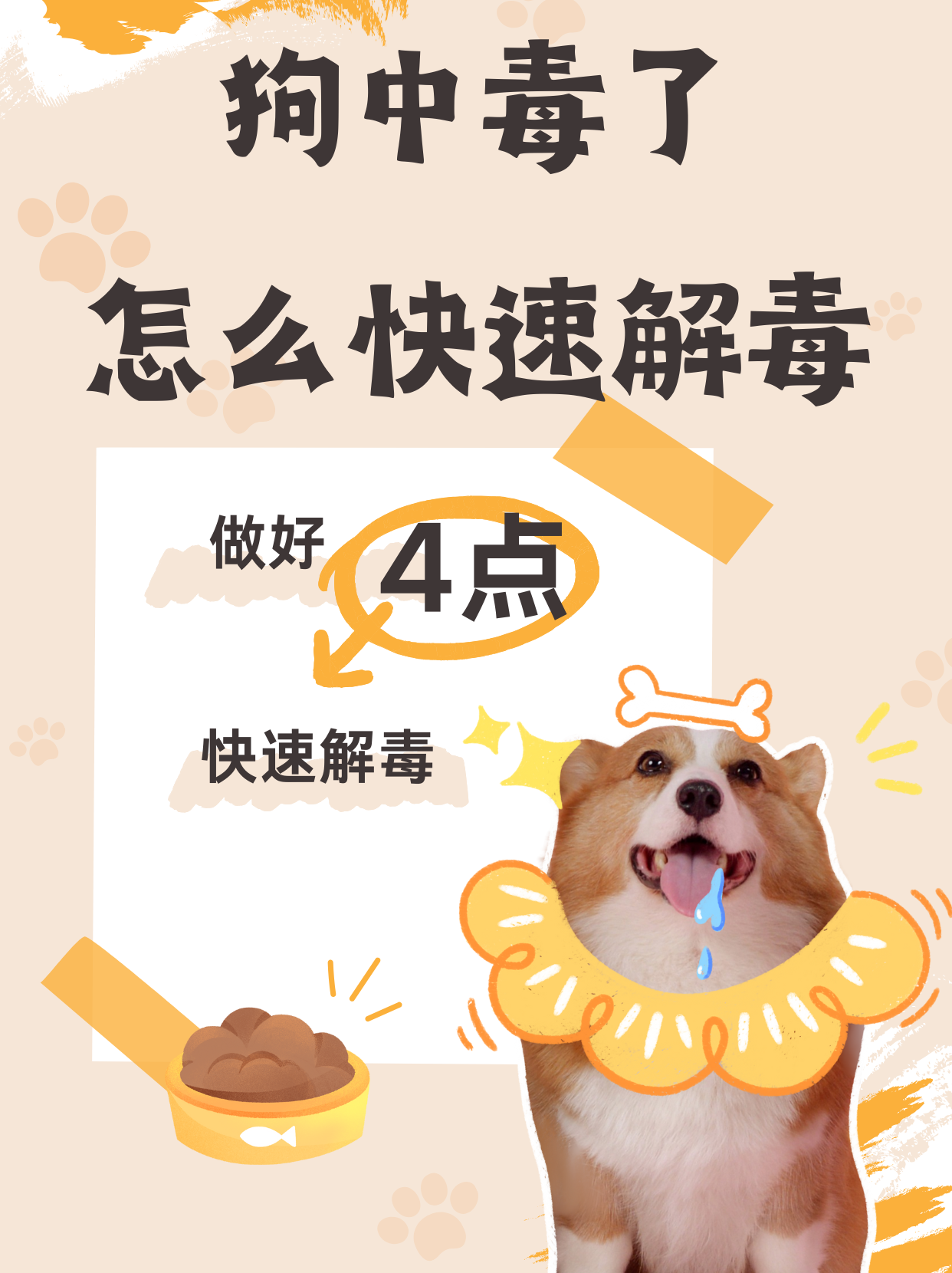 狗狗射速好烫太怕了狗狗射速好烫太怕了