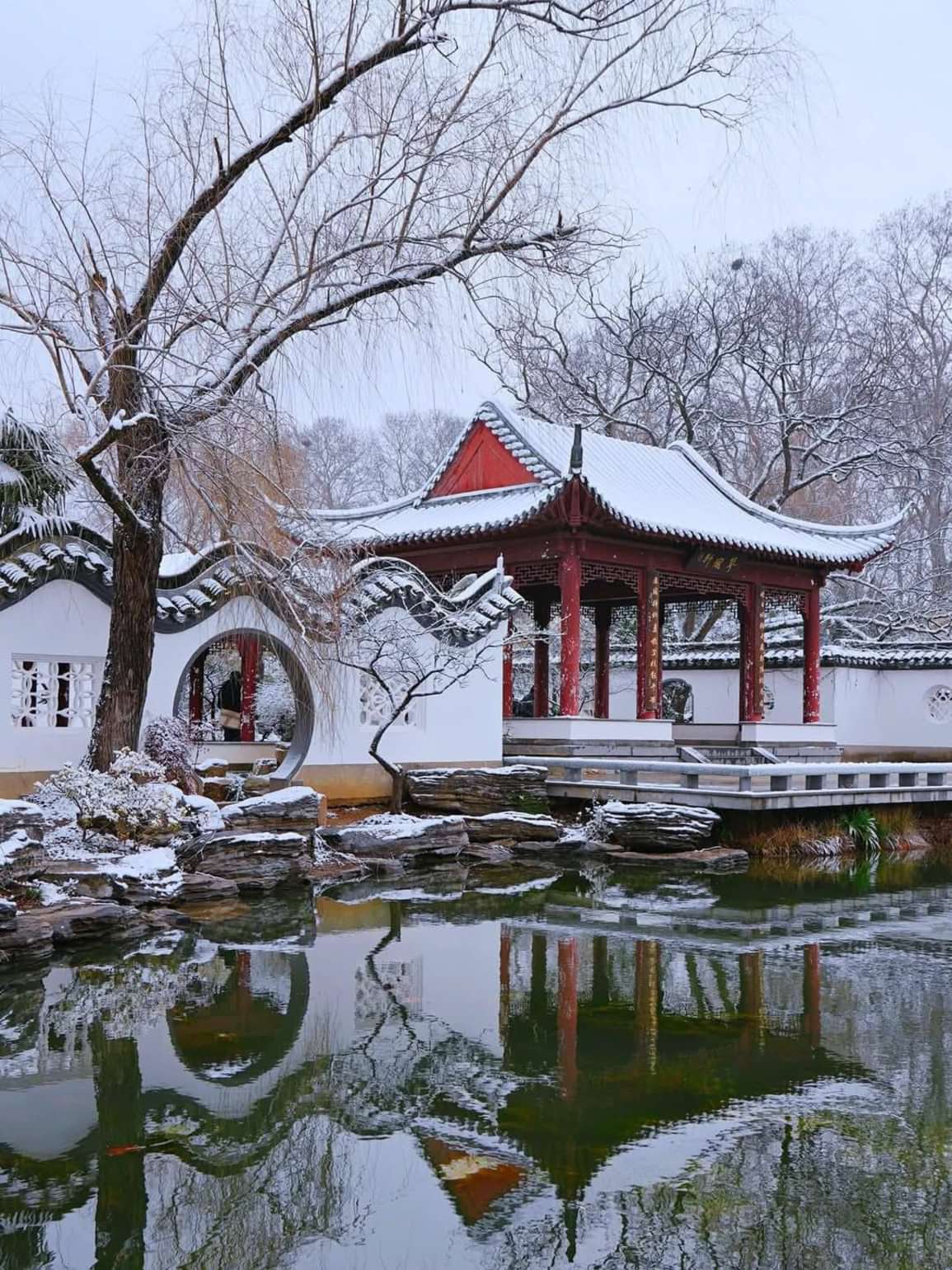 雪见诛仙，仙境中的雪与情-第2张图片