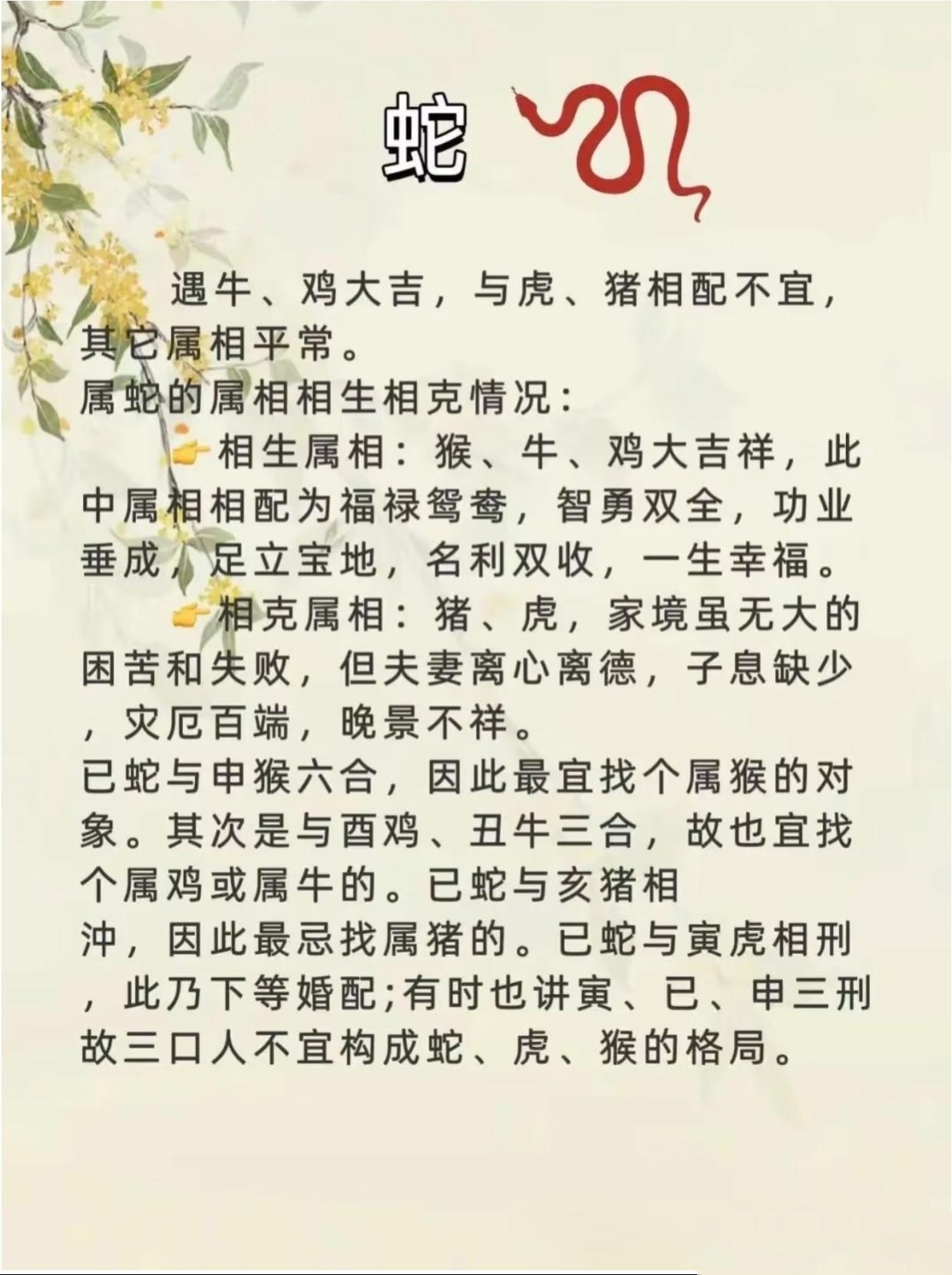 人猪配人猪之恋