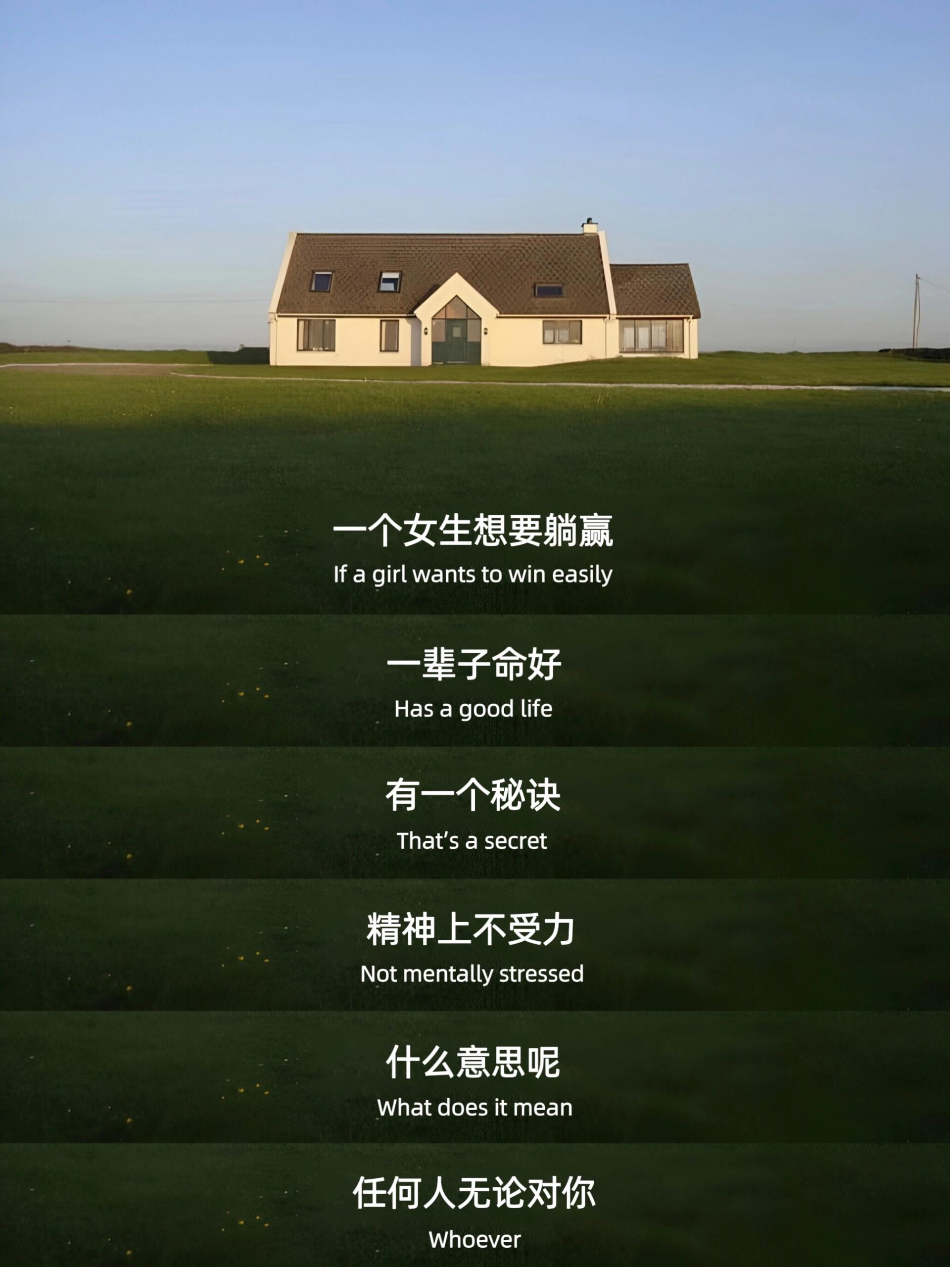 一个接一个做了哪些事一个接一个的行动，我经历的旅程-第3张图片