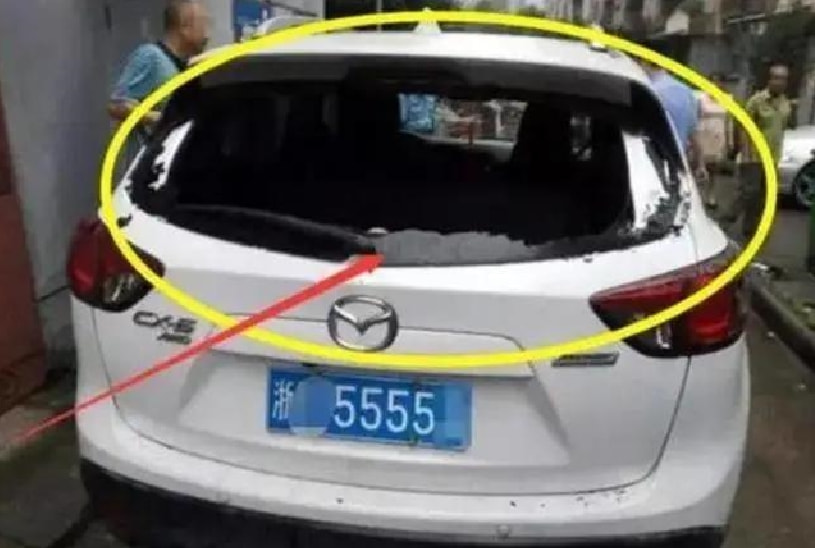 555571.com，探索数字时代的无限可能-第2张图片
