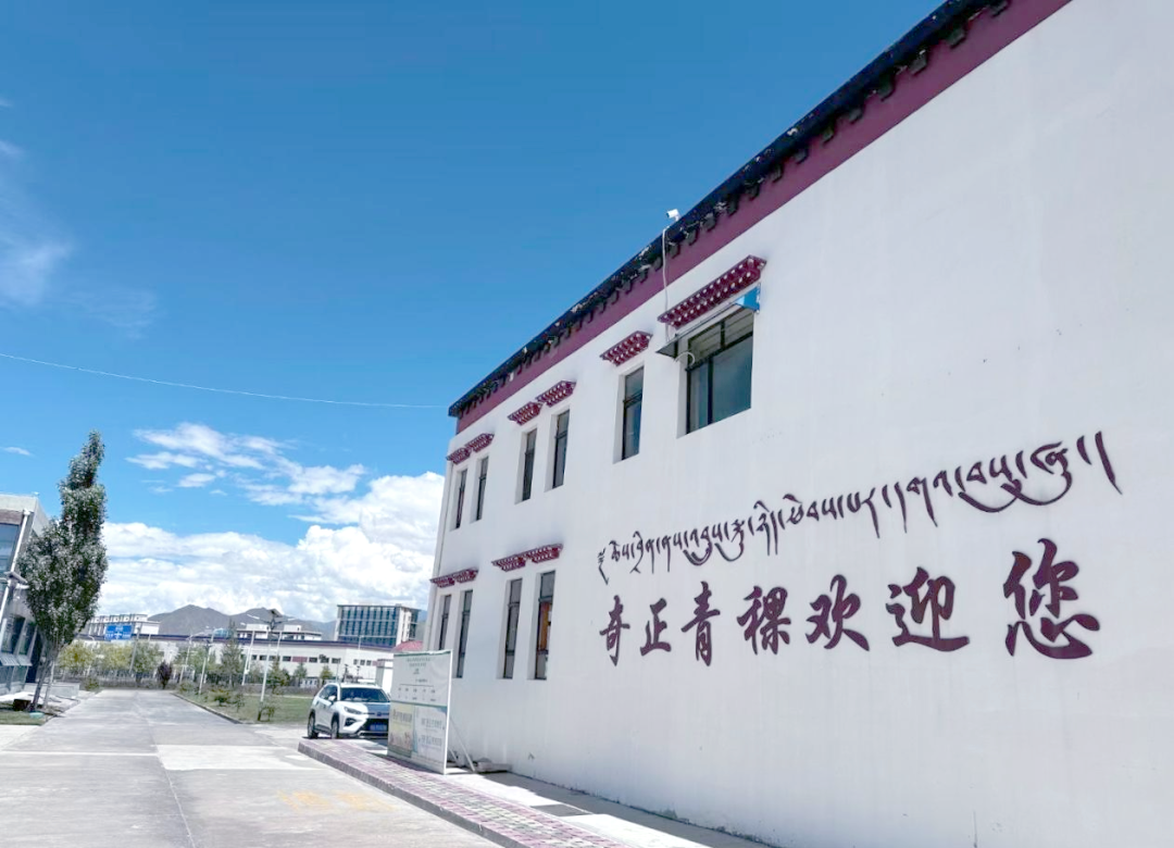 齐鲁风采qlfc，探索优质教育资源的新篇章-第1张图片