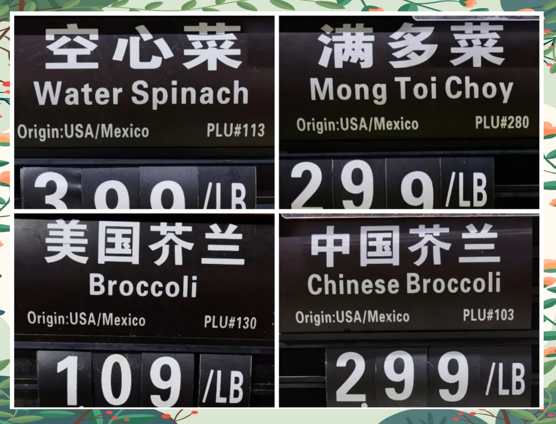 美国之旅，十次探访的深度体验-第1张图片