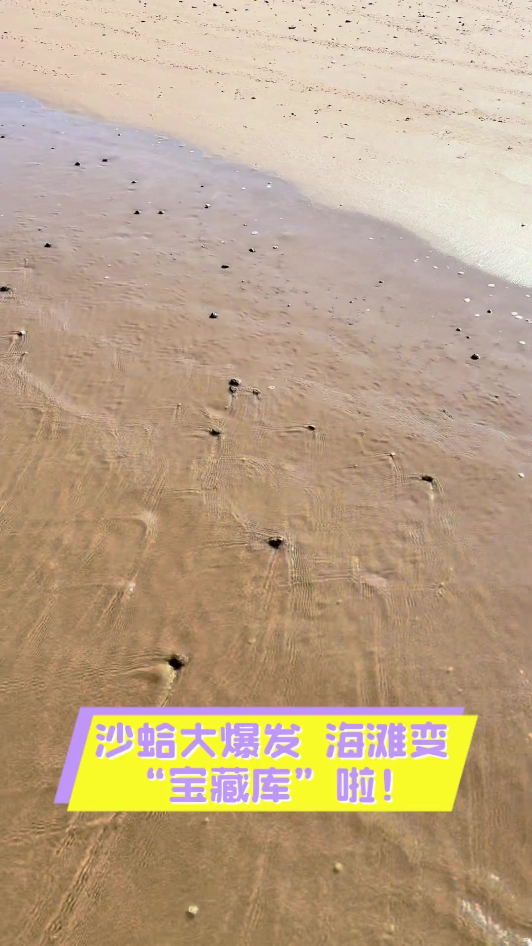 邪怒海滩的宝藏在哪邪怒海滩的宝藏探索-第1张图片
