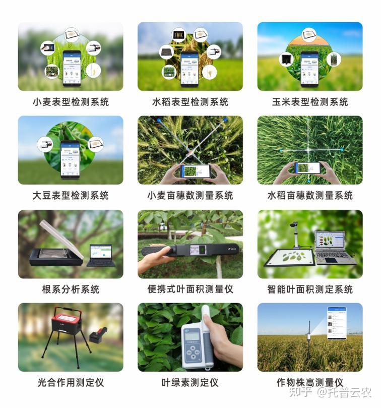 种子文件下载软件种子文件下载，轻松获取与高效利用-第2张图片