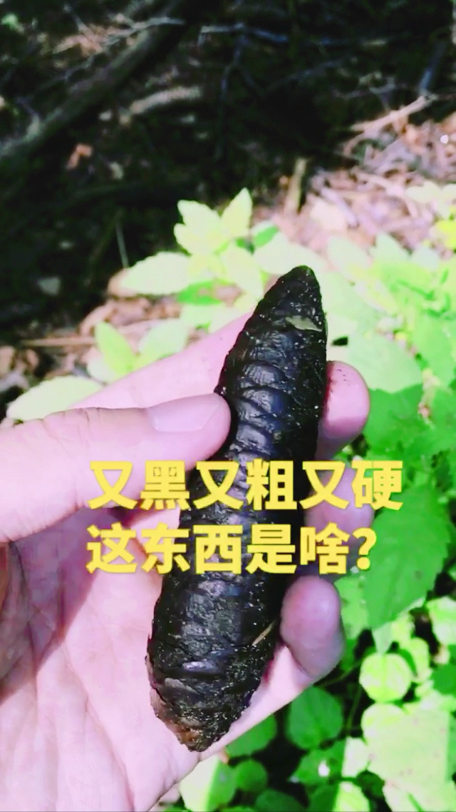 国产又黄又硬又粗的商品介绍