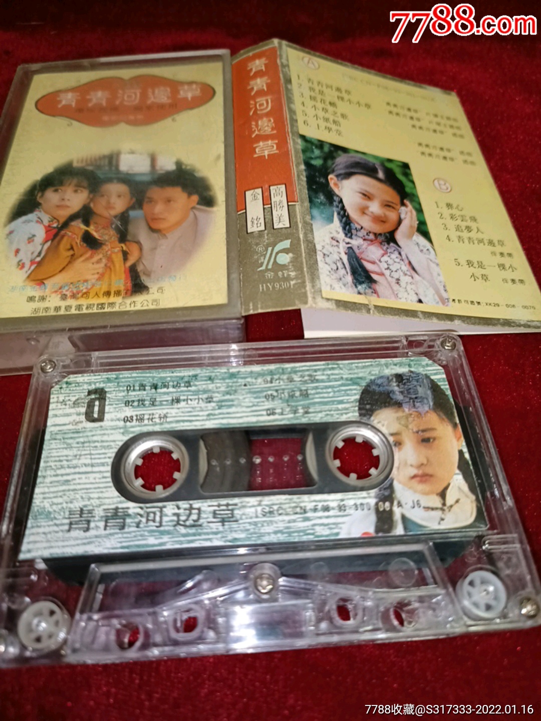 青青河边草手机视频观看青青河边草，手机免费视频盛宴-第3张图片