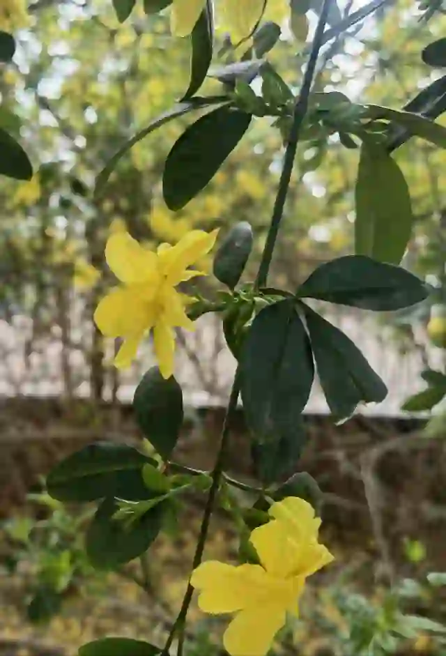 啦啦啦完整版免费视频在线观看-第2张图片