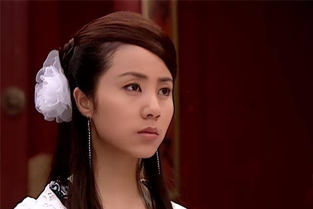 杨门女将外传杨门女将外传-第2张图片