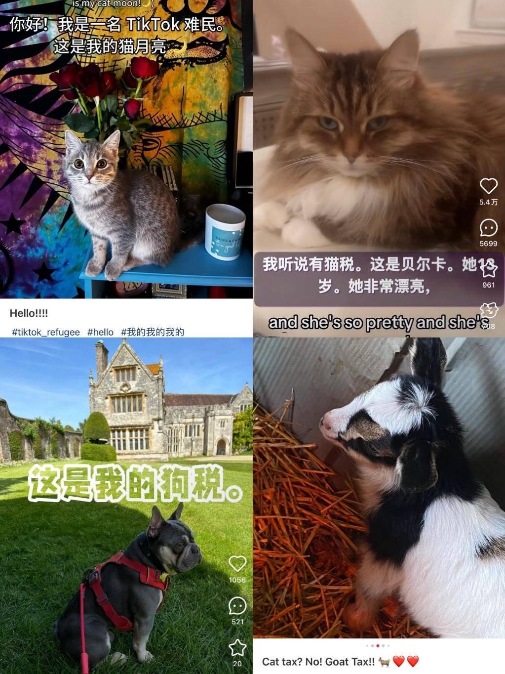 三个一起C你的三个一起C你的-第1张图片