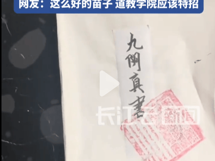 九阴真经江湖武学，江湖秘籍的探索与修炼