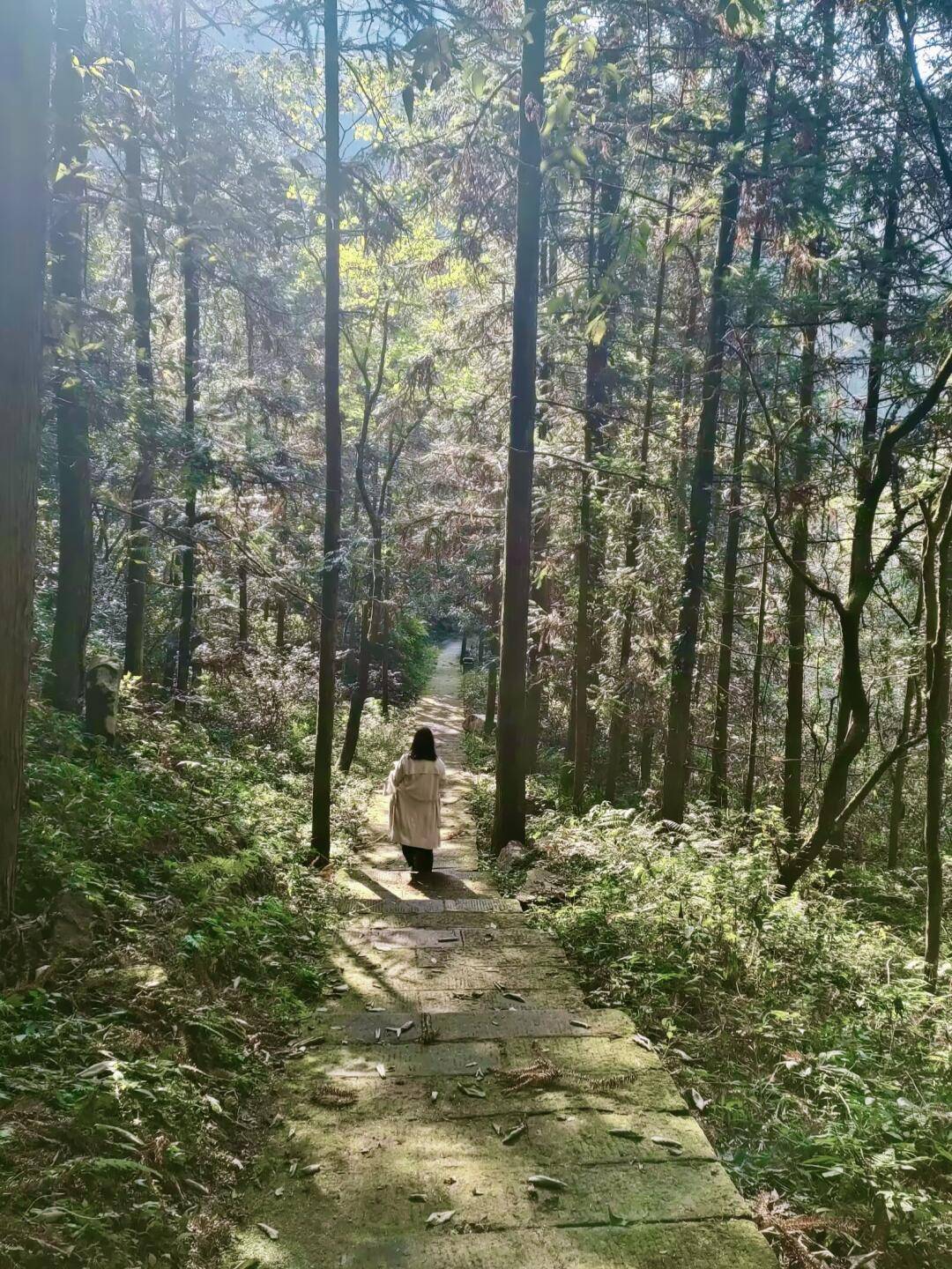 北京到张家界之旅-第2张图片