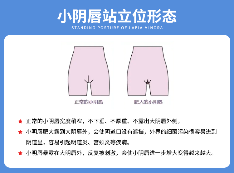大阴帝bb大阴帝BB，神秘魅力与诱惑-第3张图片