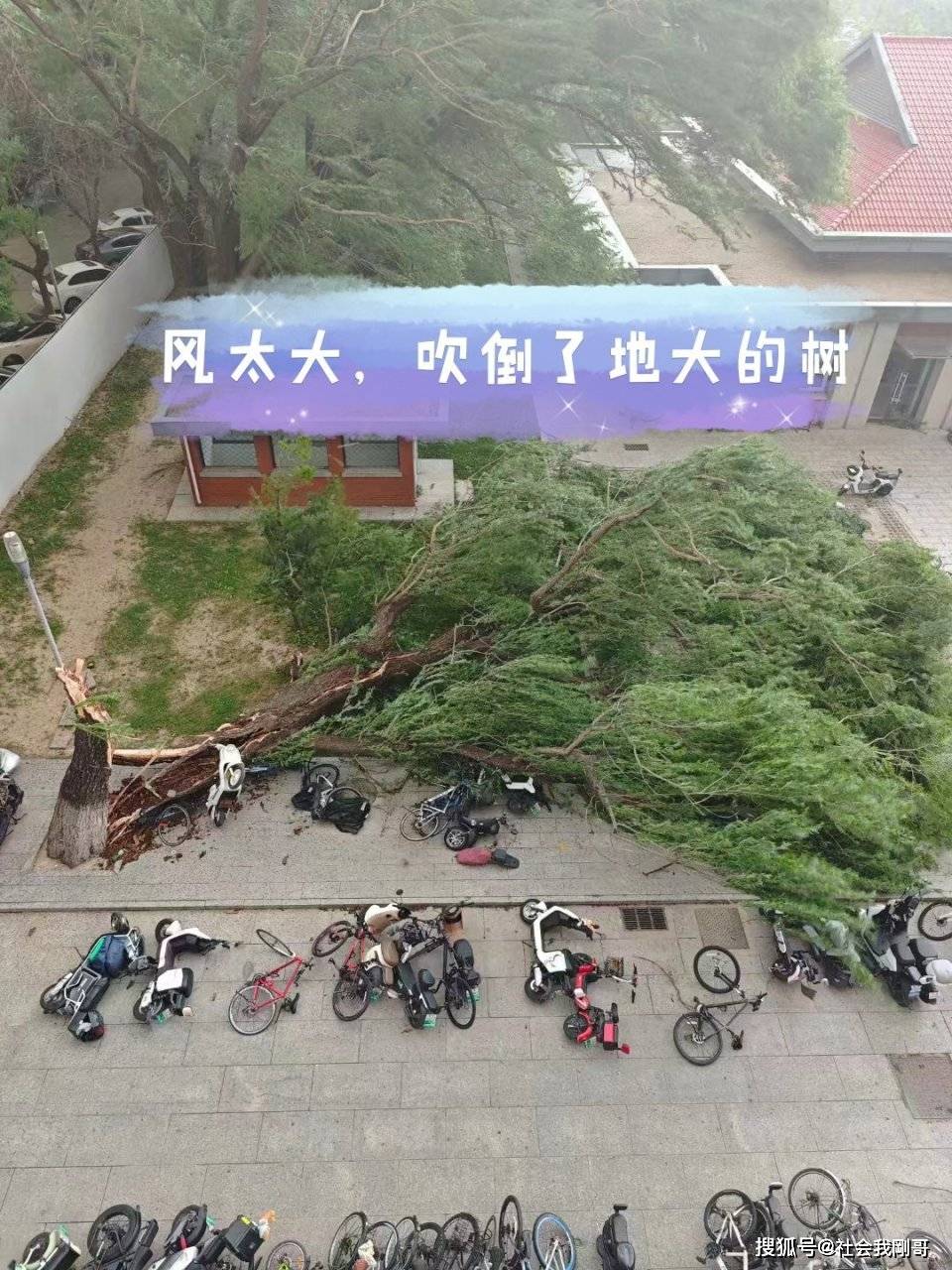 上海特大暴雨-第1张图片