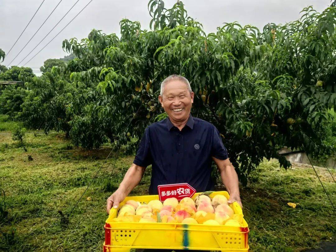 探寻成龙文化与风水之道——昌旺之地与和谐人生