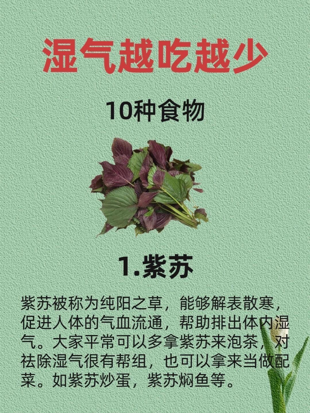 女生勿近进必湿女子勿进，湿气之害-第2张图片