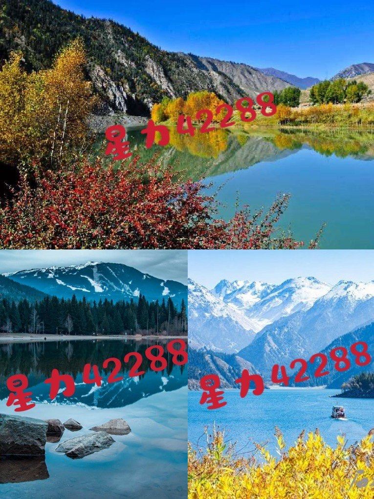 摇钱树捕鱼星力捕鱼星力，海洋生态与人类捕捞的新篇章-第2张图片