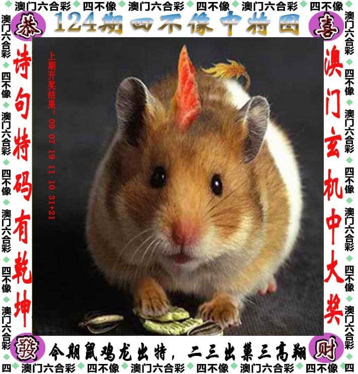 王中王100%期期准王中王100%期期准，把握财富的智慧-第1张图片