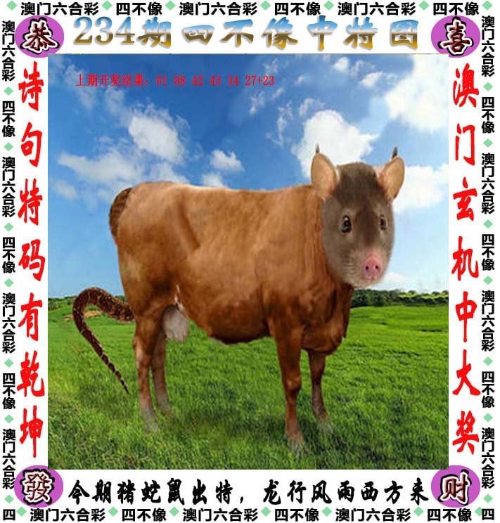 今晚澳门开码资料免费看今晚澳门开码资料免费看-第2张图片