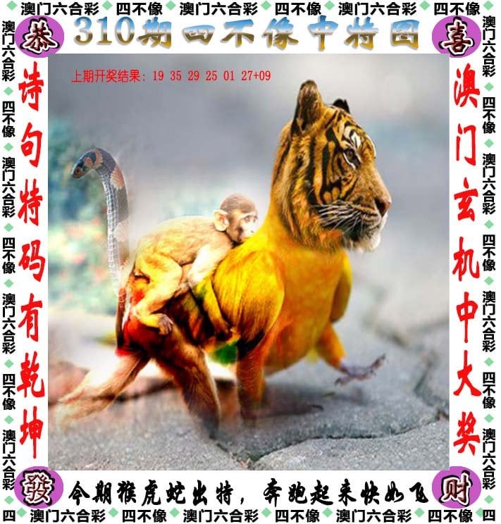 澳门六今晚开奖结果揭晓，85期回顾与展望-第2张图片