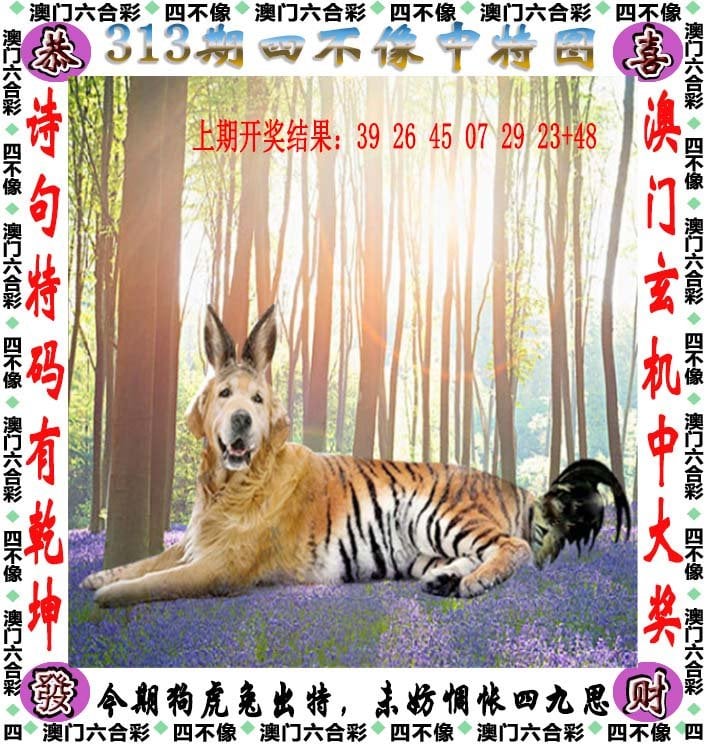 今天特马开什么号码今天特马，探索与体验的精彩瞬间-第1张图片