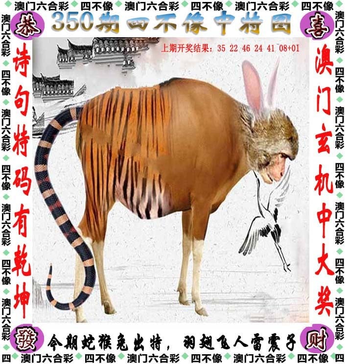 今天澳门今晚马出情况预测
