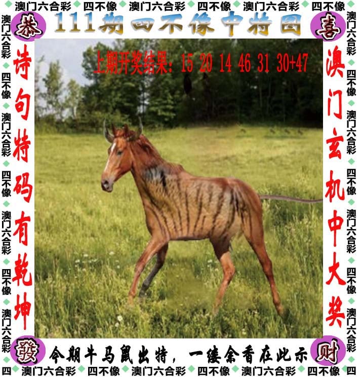管家婆一码中奖-第3张图片