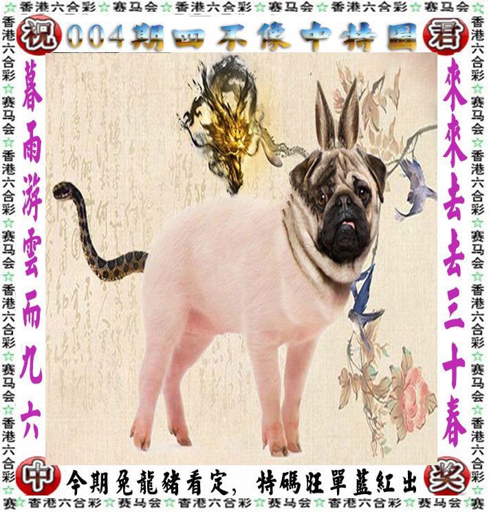 澳门二四六天天资料大全2023